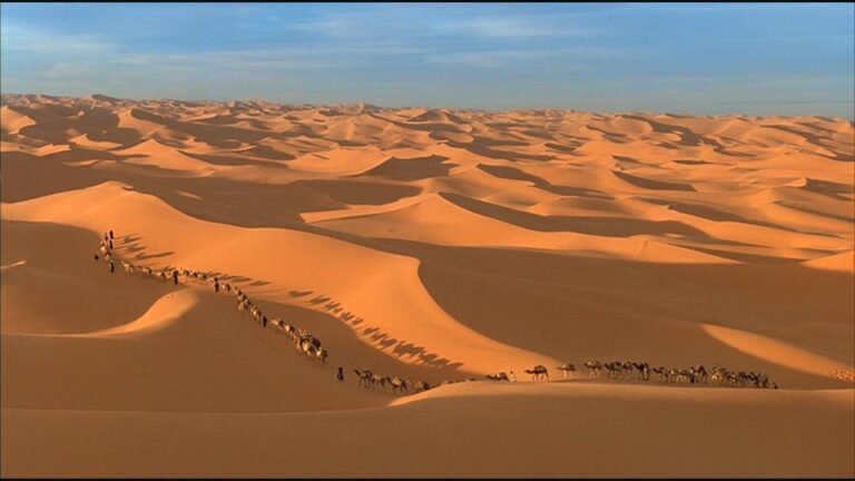 Un thé au Sahara - Bernardo Bertolucci - Tortillapolis