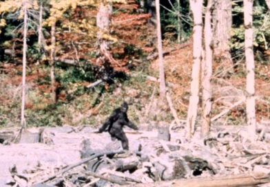 Dictionnaire du Found Footage